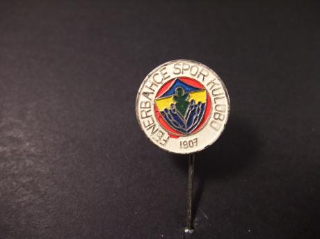 Fenerbahce Turkse voetbalclub (groot model)